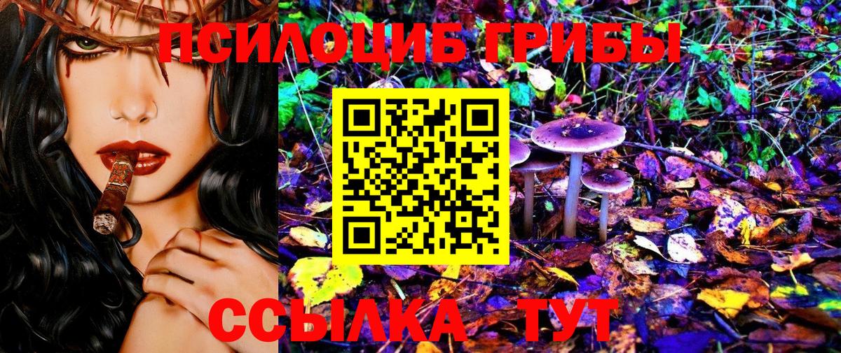 Уссурийск  Галлюциногенные грибы MAGIC MUSHROOMS  Вход с VPN 
